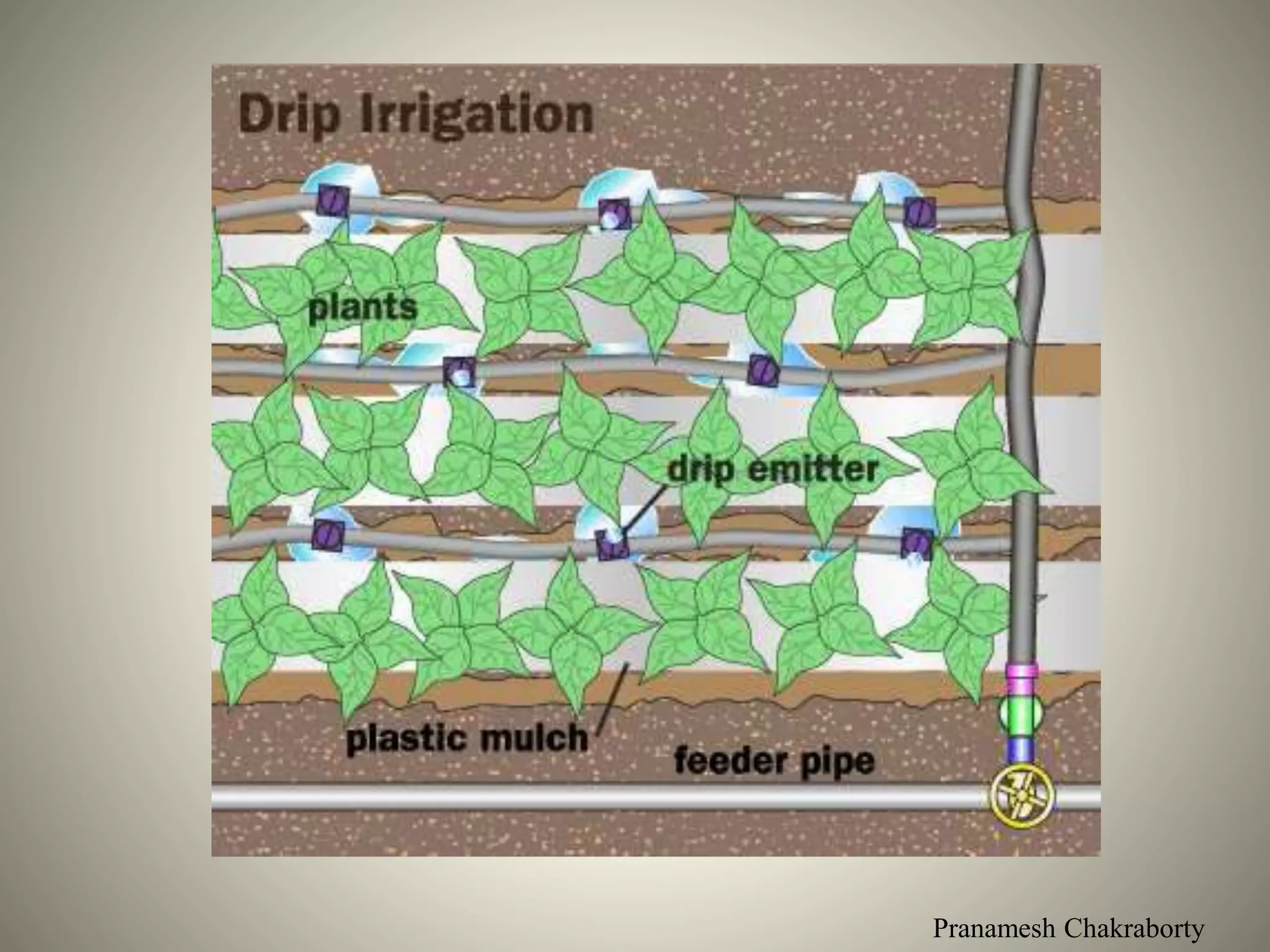 Pranamesh Chakraborty
 