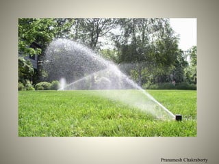 Pranamesh Chakraborty
 