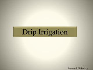 Pranamesh Chakraborty
Drip Irrigation
 