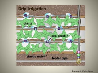 Pranamesh Chakraborty
 