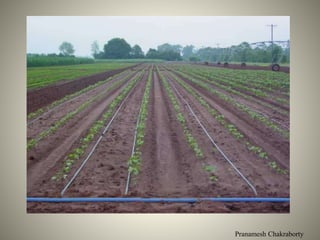 Pranamesh Chakraborty
 