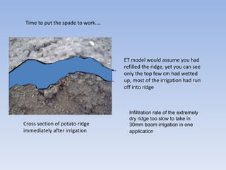 Between Potato Ridges Improve your irrigation scheduling - Peter White Water Management | PPS