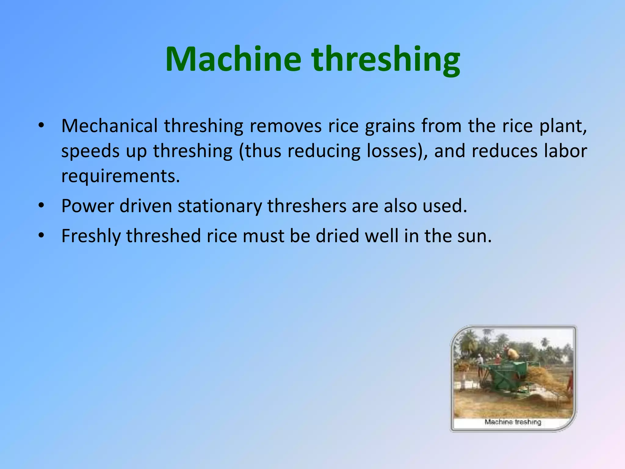Machine threshing
• Mechanical threshing removes rice grains from the rice plant,
speeds up threshing (thus reducing losses), and reduces labor
requirements.
• Power driven stationary threshers are also used.
• Freshly threshed rice must be dried well in the sun.
 