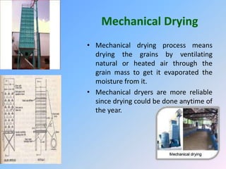Mechanical Drying
• Mechanical drying process means
drying the grains by ventilating
natural or heated air through the
grain mass to get it evaporated the
moisture from it.
• Mechanical dryers are more reliable
since drying could be done anytime of
the year.
 