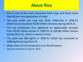 About Rice
• Rice is one of the most important food crops and feeds more
than 60 per cent population of India.
• The area under rice crop was 30.81 million/ha in 1950-51
which has increased to 43.86 million hectares during 2014-15.
• The rice production has registered an appreciable increase
from 20.58 million tonnes in 1950-51 to 104.86 million tonnes
during 2014-15, which is nearly 5 times.
• The yield was 668 kg/ha in 1950-51 which has increased to
2390 kg/ha during 2014-15.
• Major share of rice production is in Kharif season.
• (Agricultural Statistics at a glance- 2015).
 
