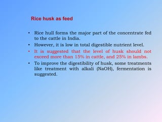 Rice husk as feed
• Rice hull forms the major part of the concentrate fed
to the cattle in India.
• However, it is low in total digestible nutrient level.
• It is suggested that the level of husk should not
exceed more than 15% in cattle, and 25% in lambs.
• To improve the digestibility of husk, some treatments
like treatment with alkali (NaOH), fermentation is
suggested.
 