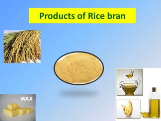 Products of Rice bran
WAX
OIL
 