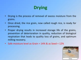 Drying
• Drying is the process of removal of excess moisture from the
grains.
• Once dried, the rice grain, now called rough rice, is ready for
processing.
• Proper drying results in increased storage life of the grains,
prevention of deterioration in quality, reduction of biological
respiration that leads to quality loss of grains, and optimum
milling recovery.
• Safe moisture level as Grain = 14% & as Seed = 12%
 
