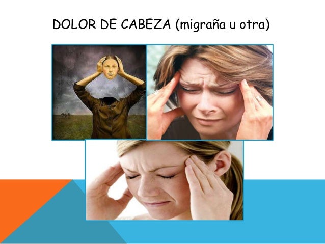 Irritabilidad & homeostasis' Irritabilidad & homeostasis'