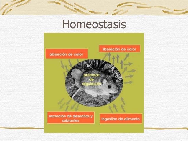 Irritabilidad & homeostasis'