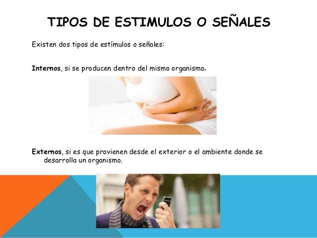 Irritabilidad &amp; homeostasis'