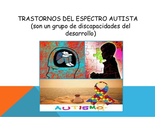 Irritabilidad & homeostasis' Irritabilidad & homeostasis'