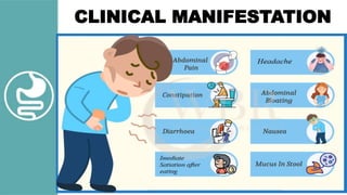 CLINICAL MANIFESTATION
 