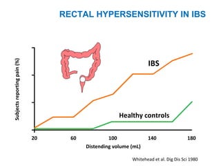Subjectsreportingpain(%)
Whitehead et al. Dig Dis Sci 1980
Distending volume (mL)
Healthy controls
20 60 100 140 180
IBS
RECTAL HYPERSENSITIVITY IN IBS
 
