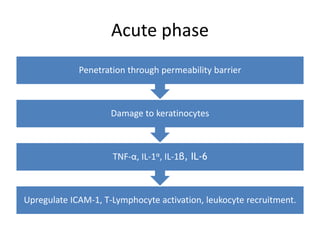 Acute phase
Upregulate ICAM-1, T-Lymphocyte activation, leukocyte recruitment.
TNF-α, IL-1α, IL-1β, IL-6
Damage to keratinocytes
Penetration through permeability barrier
 
