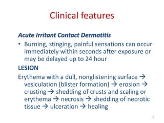 Clinical features
Acute Irritant Contact Dermatitis
• Burning, stinging, painful sensations can occur
immediately within seconds after exposure or
may be delayed up to 24 hour
LESION
Erythema with a dull, nonglistening surface 
vesiculation (blister formation)  erosion 
crusting  shedding of crusts and scaling or
erythema  necrosis  shedding of necrotic
tissue  ulceration  healing
21
 