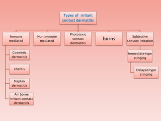 Irritant Contact Dermatitis By Dr Maria Saeed PPTX