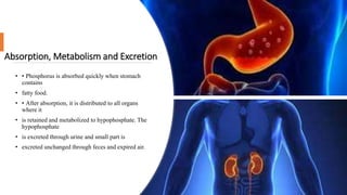 irritant poison final #poisoning # irritants # | PPTX