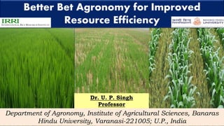 Better Bet Agronomy for Improved
Resource Efficiency
Dr. U. P. Singh
Professor
Department of Agronomy, Institute of Agricultural Sciences, Banaras
Hindu University, Varanasi-221005; U.P., India
 