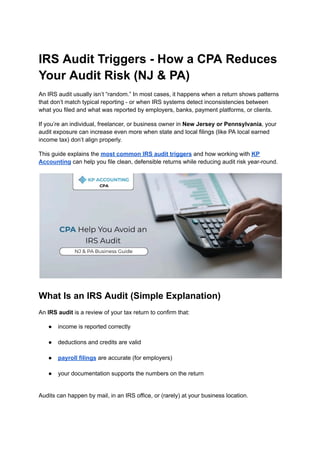 IRS Audit Triggers - How a CPA Reduces Your Audit Risk (NJ & PA).pdf
