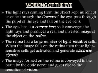  The light rays coming from the object kept infront of
us enter through the Cornea of the eye, pass through
the pupil of the eye and fall on the eye-lens.
 The eye-lens is a convex lens, so it converges the
light rays and produces a real and inverted image of
the object on the retina.
 The retina has a large number of light-sensitive cells.
When the image falls on the retina then these light-
sensitive cells get activated and generate electricle
signals.
 The image formed on the retina is conveyed to the
brain by the optic nerve and gives rise to the
sensation of vision.
 