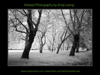 Infrared Photography by Andy Leong www.andyvortex.com  |  www.flickr.com/photos/exitmusik 