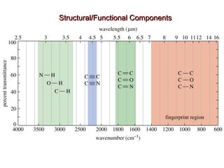 Structural/Functional ComponentsStructural/Functional Components
 