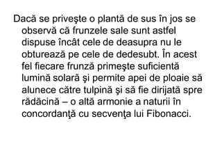 Dacă se priveşte o plantă de sus în jos se
observă că frunzele sale sunt astfel
dispuse încât cele de deasupra nu le
obturează pe cele de dedesubt. În acest
fel fiecare frunză primeşte suficientă
lumină solară şi permite apei de ploaie să
alunece către tulpină şi să fie dirijată spre
rădăcină – o altă armonie a naturii în
concordanţă cu secvenţa lui Fibonacci.
 
