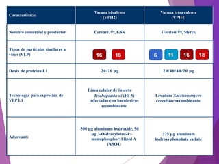 Vph2 Model irus del Papiloma Humano HPV. Podemos prevenir el cáncer de cuello ...