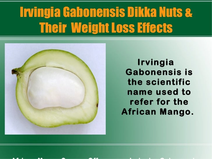 Irvingia Gabonensis Dikka Nuts Weight Loss