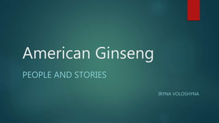 American Ginseng
PEOPLE AND STORIES
IRYNA VOLOSHYNA
 