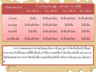 ชนิดของสมุนไพร น้าหนักสมุนไพร (g) : เอทานอล 70% (ml)
10 g : 200 ml 15 g : 200 ml 20 g : 200 ml 30 g : 200 ml
1.ใบเตย มีกลิ่น มีกลิ่นเลกน้อย มีกลิ่นเล็กน้อย มีกลิ่นเล็กน้อย
2.มะกรูด มีกลิ่นเล็กน้อย มีกลิ่นเล็กน้อย ไม่มีกลิ่น ไม่มีกลิ่น
3.ตะไคร้ ไม่มีกลิ่น มีกลิ่นเล็กน้อย มีกลิ่นเล็กน้อย ไม่มีกลิ่น
4.เปลือกส้ม มีกลิ่นเล็กน้อย มีกลิ่นเล็กน้อย มีกลิ่นเล็กน้อย ไม่มีกลิ่น
จากการทดลองพบว่าสารสกัดสมุนไพรจากผิวมะกรูด กาจัดกลิ่นห้องน้าได้และ
สามารถนาไปใช้ในสถานที่ที่มีกลิ่นอับ ทาให้อากาศสดชื่นกาจัดกลิ่นเหม็นได้ เพราะความ
เข้มข้นของสารมากจะกาจัดกลิ่นได้มาและยังมีประสิทธิ์ภาพในการไล่แมลง ยุง เป็นอย่าง
ดี
 