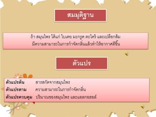 ถ้า สมุนไพร ได้แก่ ใบเตย มะกรูด ตะไคร้ และเปลือกส้ม
มีความสามารถในการกาจัดกลิ่นแล้วทาให้อากาศดีขึ้น
สมมุติฐาน
ตัวแปรต้น สารสกัดจากสมุนไพร
ตัวแปรตาม ความสามารถในการกาจัดกลิ่น
ตัวแปรควบคุม ปริมาณของสมุนไพร และแอลกอฮอล์
ตัวแปร
 