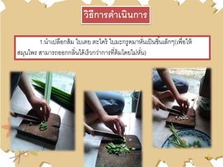 1.นาเปลือกส้ม ใบเตย ตะไคร้ ใบมะกรูดมาหั่นเป็นชิ้นเล็กๆ(เพื่อให้
สมุนไพร สามารถออกกลิ่นได้เร็วกว่าการที่ต้มโดยไม่หั่น)
วิธีการดาเนินการ
 
