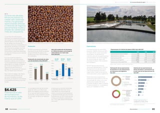 Durante dos décadas,
Minera Alumbrera ha
creado valor sostenida-
mente y ha generado
oportunidades directas
e indirectas de negocios
para empresas locales y
empleo de calidad para
miles de trabajadores.
La contribución del proyecto
Alumbrera al progreso económico
de la región en la que opera com-
prende desde la creación de pues-
tos de trabajo, las compras de
insumos y servicios a proveedores, la
generación de divisas y la recauda-
ción fiscal de los estados nacional,
provincial y municipal, hasta las
inversiones en desarrollo sostenible
en obras de infraestructura y bienes
intangibles.
A su vez, pudimos sostener y
difundir una cultura del trabajo
basada en valores como la eficien-
cia, el cumplimiento de objetivos, la
seguridad en el trabajo, el respeto
por el otro, la transparencia, la
capacitación permanente, el
diálogo con los grupos de involucra-
dos y el respeto por el entorno.
Este modo de trabajo y de relacio-
namiento, que conforman los
recursos intangibles también,
favoreció y se replicó en contratistas
y proveedores de bienes y servicios
locales.
La cantidad producida de concen-
trado de cobre y oro disminuyó
58,4% con respecto al año anterior.
En el caso del doré la disminución
fue de 19% y la de molibdeno resultó
en una baja de 36,5% con respecto
a 2016.
Al igual que en los años anteriores,
en esta fase de cierre de mina a
cielo abierto, el concentrado de
cobre y oro es el principal producto
y representó 90,5% del valor total de
la producción en 2017, mientras que
el doré y el molibdeno representa-
ron 7,7% y 1,8% respectivamente del
valor total.
Producción
En 2017 la producción de Minera
Alumbrera fue de 133.951 toneladas
de concentrado de cobre y oro,
28.292 onzas troy y 1.301 toneladas
de molibdeno.
Valor de la producción de Alumbrera,
en millones de pesos y porcentaje de
cada producto en el valor total.
Años 2015-2017.
12.000
10.000
8.000
6.000
4.000
2.000
0
Fuente: Minera Alumbrera
$4.692
millones
$10.185
millones
$6.625
millones
2015 2016 2017
149
(0,7%)
121
(1,8%)
47
(1%)
574
(4,2%)
511
(7,7%)
181
(3,9%)
9.463
(95,1%)
5.994
(90,5%)
4.463
(95,1%)
■	Concentrado
	 de cobre y oro
■	Doré ■	Molibdeno
Producción de concentrado de cobre
y oro de Alumbrera. Años 2015-2017
350.000
300.000
250.000
200.000
150.000
100.000
50.000
0
Fuente: Minera Alumbrera
2015 2016 2017
246.923
321.979
133.951
Toneladas
Exportaciones
Las exportaciones de Alumbrera
sumaron US$472 millones en 2017,
un monto 31,2% menor que el del
año anterior. En términos de
volumen, este año las exportaciones
comprendieron 154.403 toneladas
de concentrado de cobre, 0,93
toneladas de doré y 1.551 toneladas
de molibdeno.
En 2017 las exportaciones de
Alumbrera representaron 77,4% de
las exportaciones de Catamarca,
11,4% de las exportaciones de la
región NOA y 12,8% de las exporta-
ciones del sector minero argentino.
Minera Alumbrera exportó sus
productos a siete países en 2017. El
concentrado de cobre tuvo como
destinos principales Alemania,
Finlandia, Bulgaria, Japón y España.
El doré se exportó en su totalidad a
Suiza y el molibdeno a Chile.
Exportaciones. En millones de dólares (FOB). Años 2015-2017
2015 2016 2017
Exportaciones de Minera Alumbrera 501 686 472
Exportaciones de Catamarca 578 795 610
Exportaciones del NOA 3.390 4.588 4.111
Exportaciones de Argentina 56.784 57.879 58.384
Exportaciones mineras argentinas 3.533 3.608 3.696
Participación de las exportaciones
de Alumbrera en las exportaciones
de Catamarca y de Argentina.
Año 2017
Fuente: INDEC y Minera Alumbrera
■ 99%	 Resto de las 	
	provincias
■ 1% 	 Catamarca
■ 77,4%	 Exportaciones
	 de Minera
	Alumbrera
■ 22,6% 	Resto de
	Catamarca
Exportaciones
Argentina 2017:
US$58.384
millones
Exportaciones
Catamarca 2017:
US$610
millones
Fuente: Minera Alumbrera
Destinos de las exportaciones de
Minera Alumbrera y participación en
el valor total de las exportaciones (%).
Año 2017
Alemania
Finlandia
Bulgaria
Japón
España
Suiza
Chile
32,7%
18,9%
14,8%
13,1%
11,7%
6,9%
8,7 1,8%
154,3
89,3
70
61,7
55,4
32,7
Valor total de las exportaciones:
US$472.105.270
Fuentes: INDEC, CIMA (Sec. Minería) y Minera Alumbrera
millones fue el valor
de la producción
de Alumbrera, 34,9%
menor que en 2016.
$6.625
Vista de la Planta de Filtros, ubicada en Tucumán, donde se seca el concentrado y se realiza el tratamiento del agua.Las bolas de molino se utilizan para la trituración del mineral en la Planta Concentradora.
ODS 1, 8
68 69Minera Alumbrera • Informe de Sostenibilidad 2017Minera Alumbrera • Informe de Sostenibilidad 2017
	 Manejo de la sustentabilidad 	 Los temas relevantes del negocio 	 Sobre este informe
 