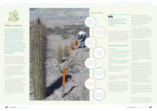 ASPECTO AMBIENTAL
Nuestro objetivo es lo-
grar la estabilidad física
y química de las insta-
laciones que permane-
cerán en el sitio luego
del cierre de la mina. En
su interacción con los
factores ambientales no
deben generar impactos
que impliquen un riesgo
para la salud de las per-
sonas y/o para el medio
ambiente.
De esta manera se debe lograr la
integración de la infraestructura
remanente en el sitio de mina con
el ambiente natural de manera de
lograr su estabilización en el tiempo.
La plataforma de conocimiento de
estos 20 años de investigación y
monitoreo del yacimiento contem-
pla estudios sobre hidrología,
biología, geología, suelos, hidrogeo-
logía, clima, además de sociales y
culturales.
En 2015 se realizó una auditoría por
parte de Glencore con buenos
resultados y oportunidades de
mejora de adecuación a estándares
de la corporación. De esta auditoría
surgieron observaciones y solicitu-
des de actividades complementa-
rias que fueron incorporadas por
Minera Alumbrera en su Plan de
Cierre de Mina.
Los PCA implican el seguimiento de
actividades relacionadas con el
medio ambiente y la presentación
de informes periódicos (trimestrales,
semestrales y anuales) y los monito-
reos de factores ambientales que
intervienen en el plan de cierre.
Aquellos vinculados al cierre son:
• Revegetación
• Funcionamiento de coberturas de
escombreras y dique de colas
• Control de rehabilitación de
botaderos
• Programas de control de calidad
de agua en Vis Vis y en Campo
Arenal
• Monitoreos de biodiversidad del
sitio de mina, Campo Arenal,
mineraloducto y DP2.
Desde el punto de vista técnico, las
decisiones más importantes de 2017
consistieron en:
• La definición de los espesores de
coberturas de los taludes de los
botaderos de estéril, basado en la
modelación numérica producto de
las pruebas de campo instaladas y
monitoreadas por casi 15 años de
manera ininterrumpida.
Objetivos primarios:
• La elaboración del diseño y
planificación de la rehabilitación de
las escombreras de estéril realizada
por los ingenieros planificadores de
mina, determinando equipos,
tiempo de ejecución, personal
necesario y costos.
• Adjudicación de un trabajo de
consultoría para definir la ingeniería
de detalle del cierre y rehabilitación
del dique de colas desde el punto
de vista ambiental y funcional para
asegurar su estabilidad química y
física después del cierre.
• Definición de la metodología a
utilizar para la revegetación de las
superficies rehabilitadas de las
escombreras de estéril y dique de
colas, con sus costos asociados y
selección de especies con mayor
probabilidad de éxito en supervi-
vencia. Dada la heterogeneidad de
las escombreras, se revegetará
sobre pequeñas islas en la superfi-
cie, teniendo en cuenta la capaci-
dad de colonización de las especies
implantadas.
• Adjudicación de la actualización
del modelo integral de agua de la
cuenca de Vis Vis a una consultora
con experiencia internacional. Este
trabajo servirá como herramienta
de gestión para el manejo del agua
de retrobombeo, determinación del
tiempo necesario de mantenimien-
to de retrobombeo postcierre y
caudales necesarios para manteni-
miento de los parámetros de
calidad de agua legislados fuera de
los límites de la concesión minera.
• Adjudicación del modelo hidroló-
gico e hidroquímico del acuífero
relacionado al open pit*
de Bajo del
Durazno para su posterior manejo y
toma de decisiones dentro del plan
de cierre.
Lograr la
estabilidad química
a través de la
prevención del
Drenaje Ácido de
Roca (DAR).
Lograr la
estabilidad física
de las escombreras,
dique de colas
y open pit.
Recuperar la
capacidad de
soporte de vida
silvestre del área
intervenida
Recomposición
o equilibrio
de la red
hidrográfica
Lograr un paisaje
compatible con el
entorno, a través de la
revegetación con
especies nativas.
Cuidar la salud
y la seguridad de las
personas durante el
proceso de cierre y
postcierre
Generar efectos
positivos en el sistema
socio-económico
de la región
Minimizar efectos
sociales negativos
derivados del cese
de la actividad
Programas de Control
Ambiental (PCA)
tuvieron continuidad
en 2017.
44
Open pit/tajo: es el área mineralizada que queda
expuesta cuando la actividad minera se desarrolla
en superficie por tratarse de minerales diseminados,
a diferencia de la minería subterránea que se realiza
bajo tierra, por tratarse de minerales vetiformes.
La Secretaría de Minería
de Catamarca supervisa el
Plan de Cierre a través de 12
programas de control
específicos.
ODS 3, 6, 15
84 85Minera Alumbrera • Informe de Sostenibilidad 2017Minera Alumbrera • Informe de Sostenibilidad 2017
	 Manejo de la sustentabilidad 	 Los temas relevantes del negocio 	 Sobre este informe
 