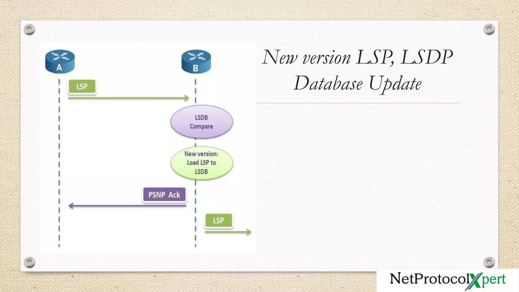 New version LSP, LSDP
Database Update
 