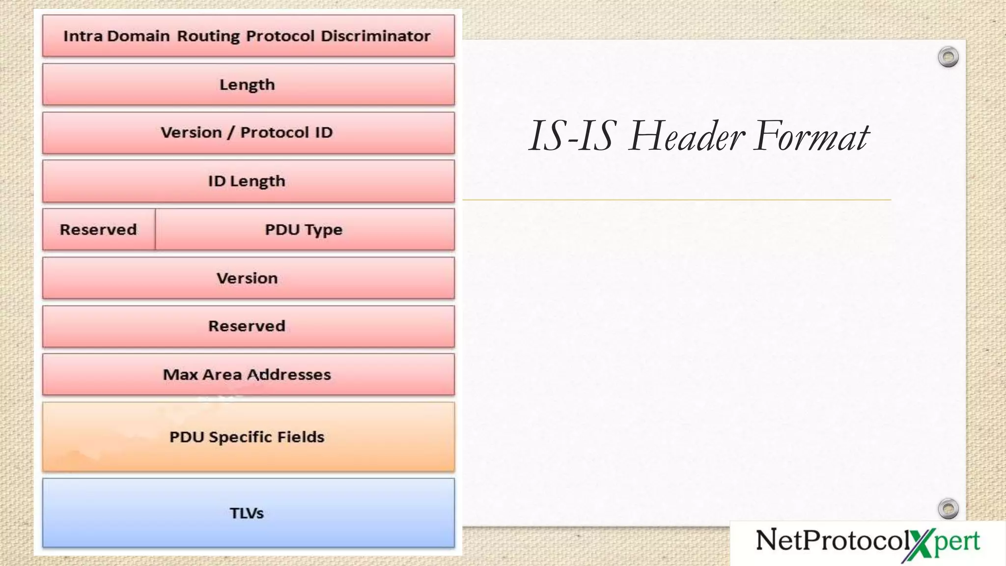 IS-IS Header Format
 