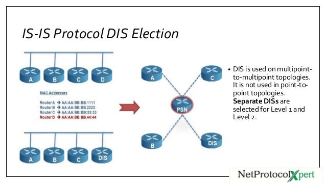 Is Is Protocol Adjacency Is Is Protocol Adjacency