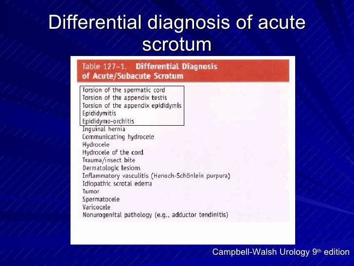 Testicular Torsion Differential Diagnosis