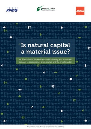 Is natural capital
  a material issue?
An evaluation of the relevance of biodiversity and ecosystem
services to accountancy professionals and the private sector




         A report from ACCA, Fauna & Flora International and KPMG
 