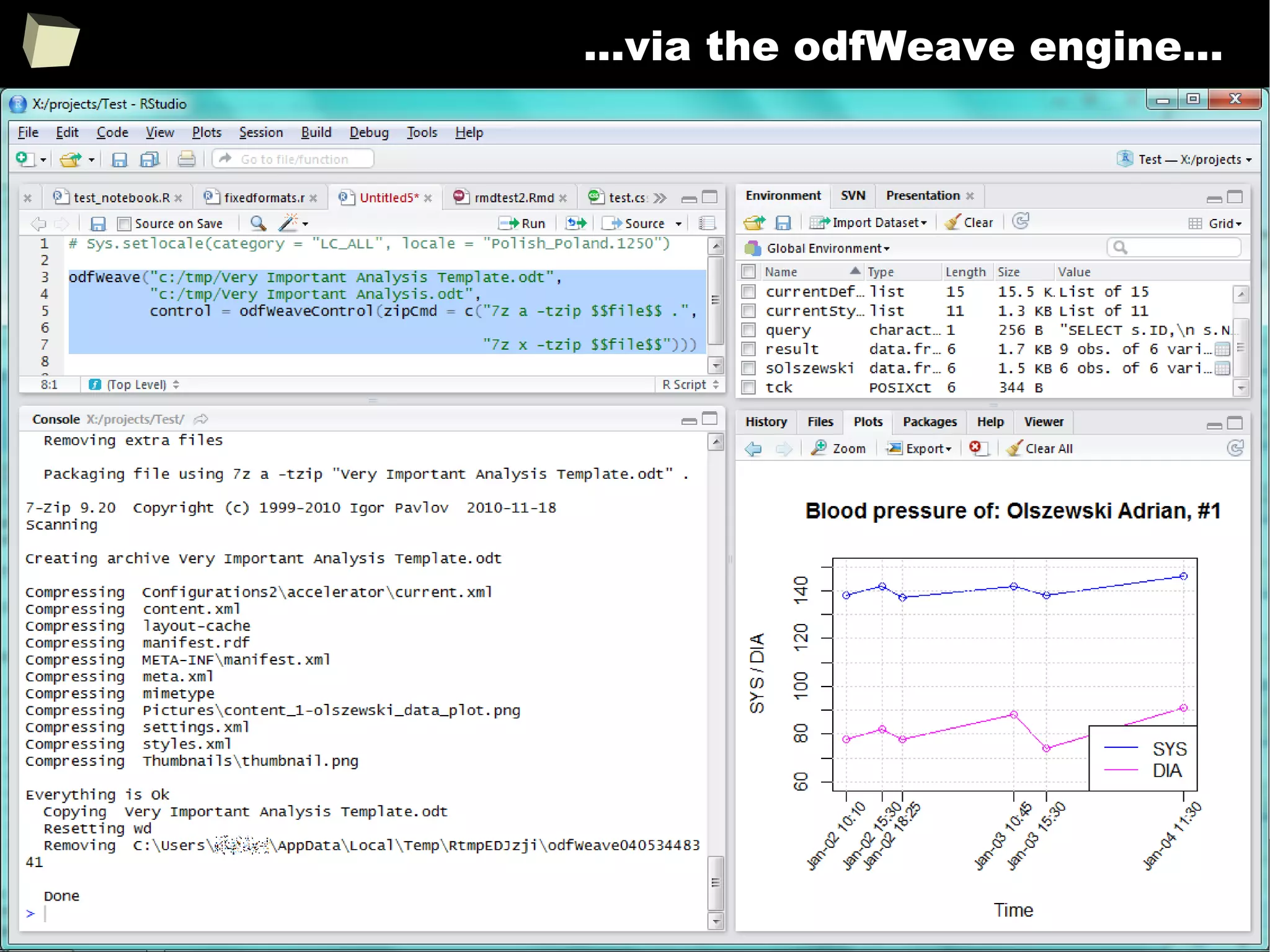 217
...via the odfWeave engine...
 