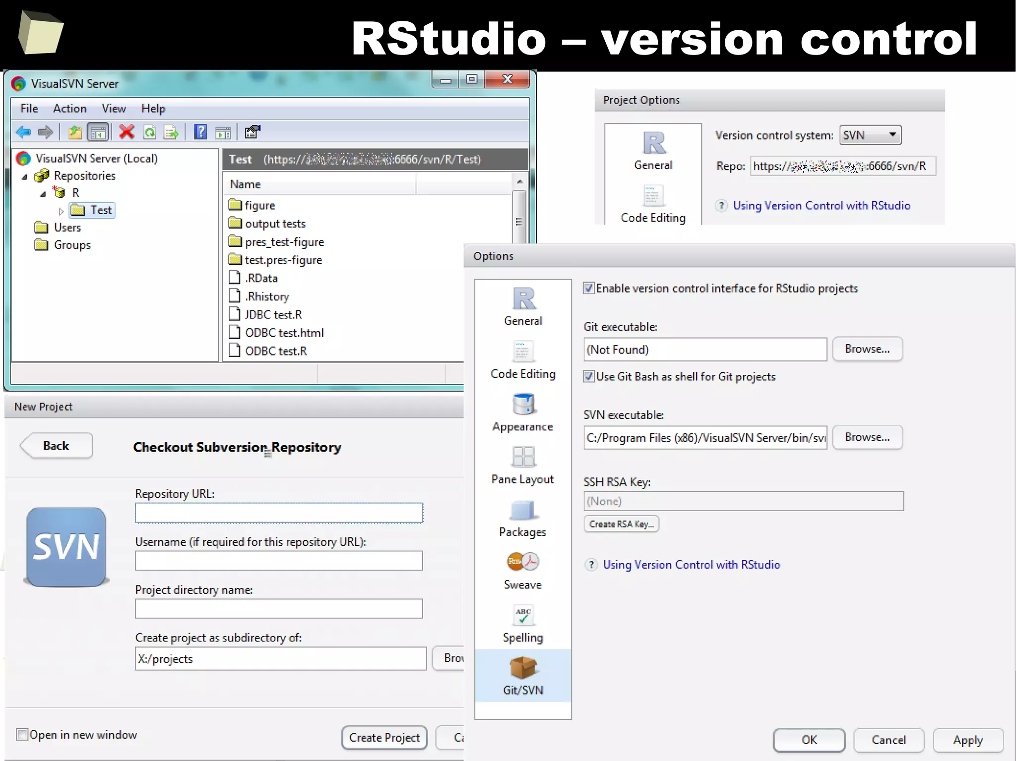 300
RStudio – version control
 