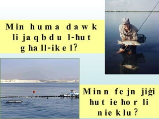 Min huma dawk li jaqbdu l- ħ ut g ħ all-ikel?   Minn fejn ji ġ i  ħ ut ie ħ or li nieklu? 