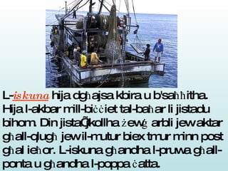 L- iskuna  hija dg ħ ajsa kbira u b'sa ħħ itha. Hija l-akbar mill-bi ċċ iet tal-ba ħ ar li jistadu bihom. Din jista’ jkollha  ż ew ġ  arbli jew aktar g ħ all-qlug ħ  jew il-mutur biex tmur minn post g ħ al ie ħ or. L-iskuna g ħ andha l-pruwa g ħ all-ponta u g ħ andha l-poppa  ċ atta.   