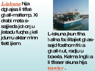 L-iskuna  hija dg ħ ajsa li tifla ħ  g ħ all-maltemp. Xi drabi meta s-sajjieda jo ħ or ġ u jistadu fuqha  ġ ieli jdumu aktar minn tlett ijiem.  L-iskuna jkun fiha  ħ afna fa ċ ilitajiet g ħ as-sajd fosthom fri ż a g ħ all- ħ ut, radju u boxxla. Kelma Ingli ż a li tfisser skuna hija  trawler   . 