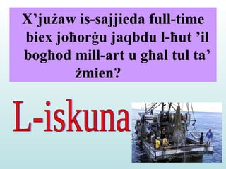 X’j uż aw is-sajjieda full-time biex jo ħ or ġ u jaqbdu l- ħ ut  ’ il bog ħ od mill-art u g ħ al tul ta’  ż mien?     L-iskuna 
