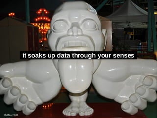 it soaks up data through your senses




photo credit
 