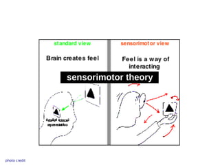 sensorimotor theory




photo credit
 