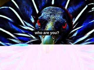 who are you?




photo credit
 